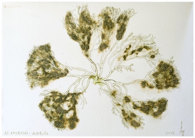 206。crushed codium seaweed juice, ink/paper 17 x 24 cm -&nbsp;6.69 x&nbsp;9.44 in